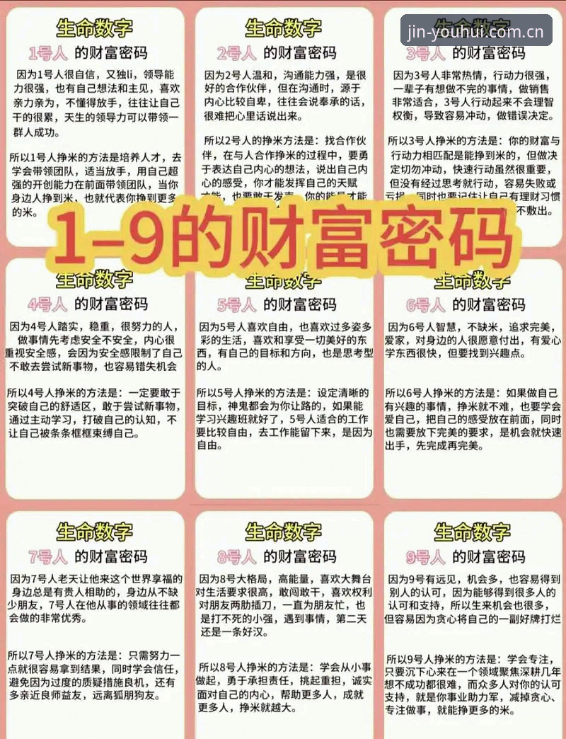 揭秘金年汇官网功能详解：从新手到高手的畅玩密码